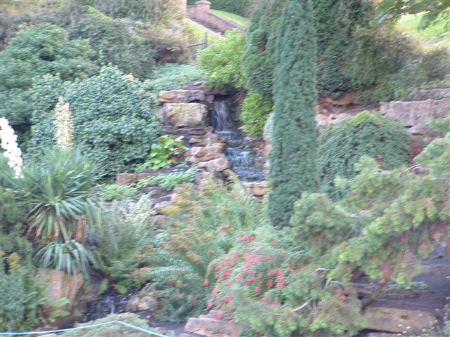 Click to view full size image